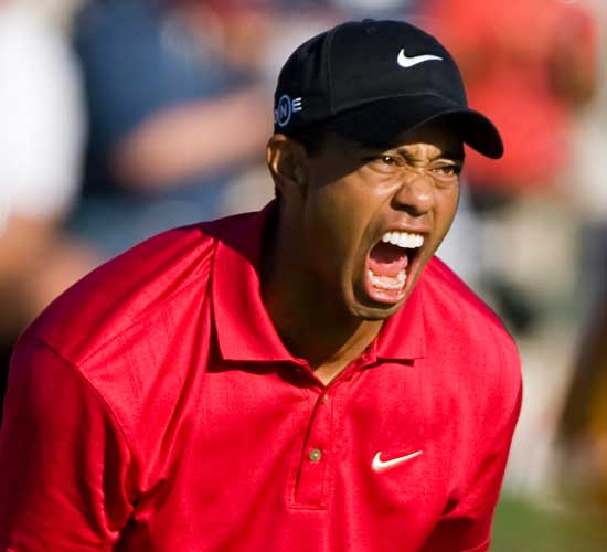 Contact Page Image - Tiger Woods Photo By Alan Smith